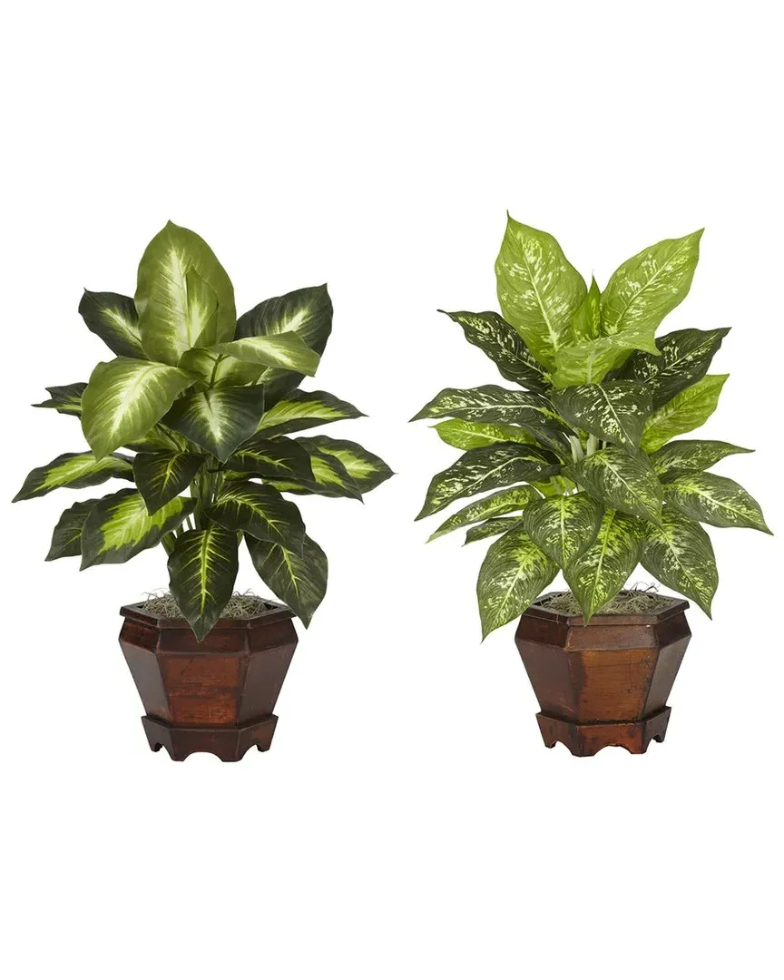 Set of 2 Dieffenbachia Silk Plants with Wood Vase image
