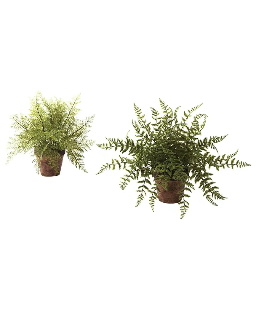 Set of 2 Ferns with Decorative Planter - Green