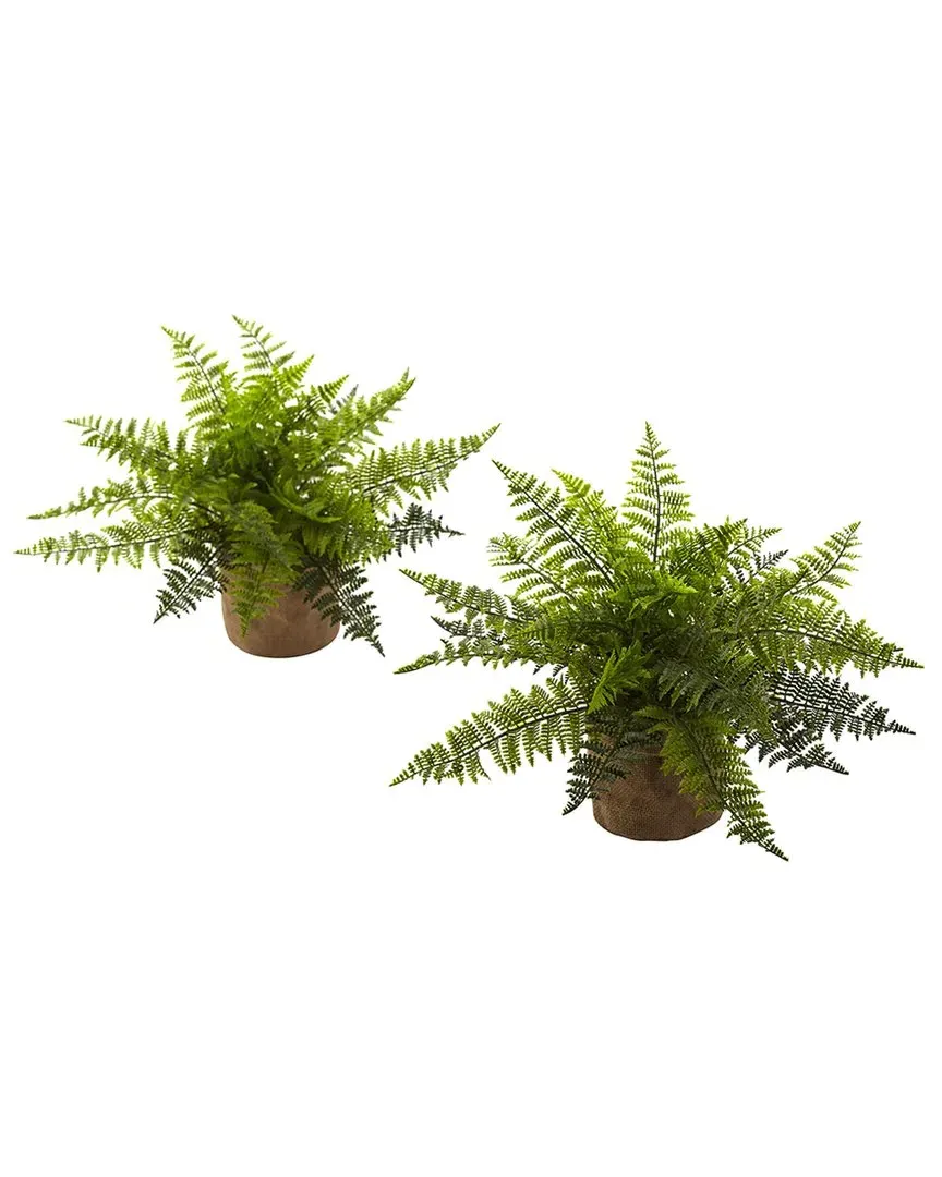Set of 2 Ruffle Fern Bushes with Burlap Base - Green image