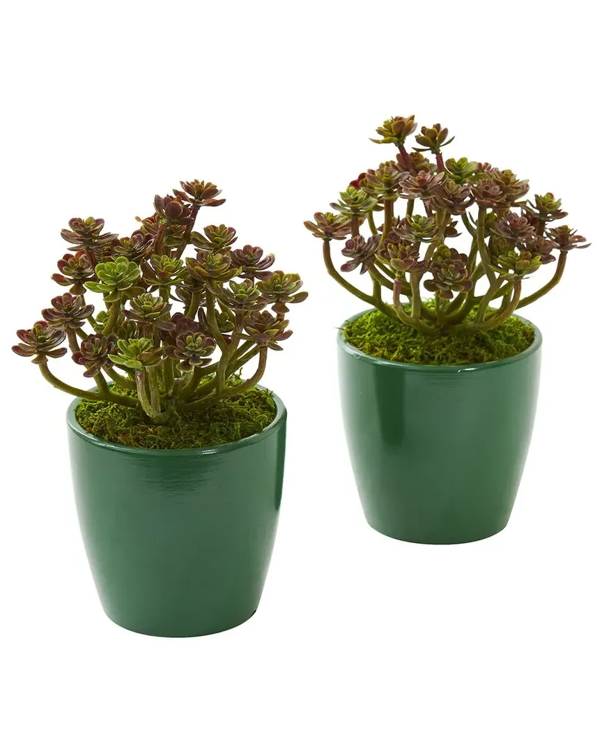 Set of 2 Sedum Artificial Plants in Planter - Green image