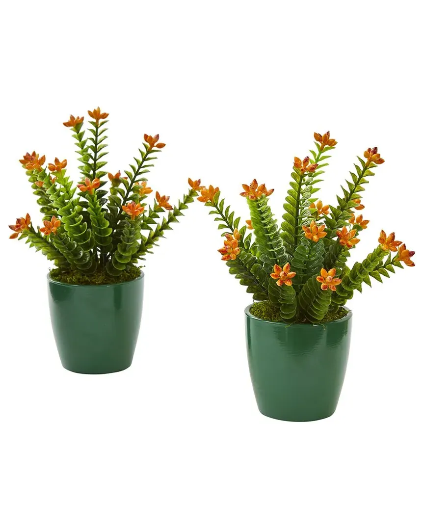 Set of 2 Sedum Succulent Artificial Plants - Green