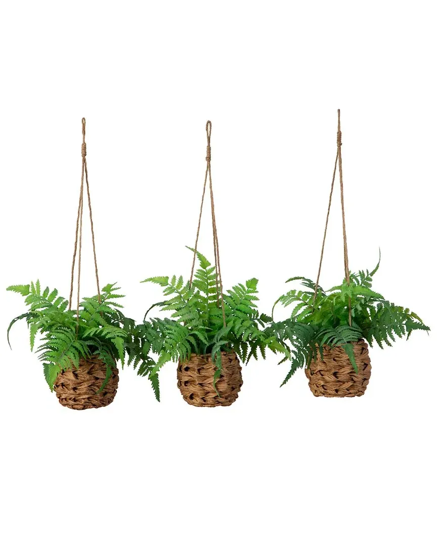 Set of 3 10in Artificial Boston Fern in Hanging Wicker Basket image