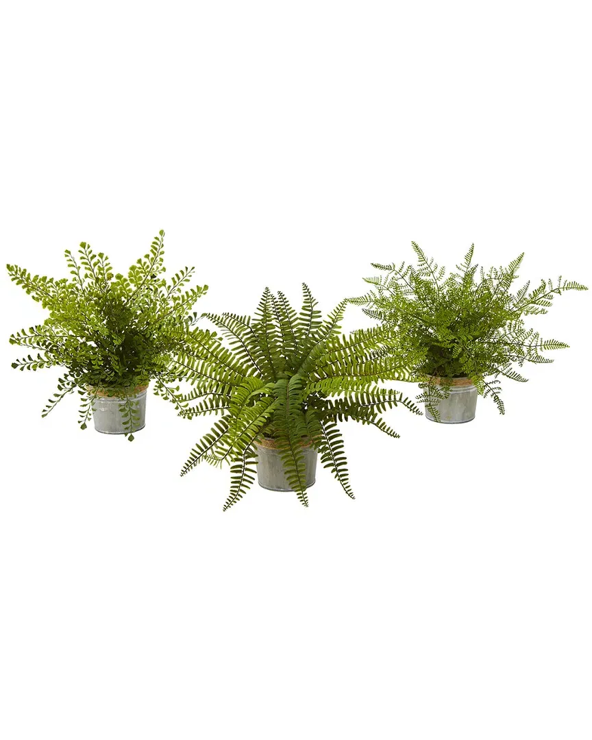 Set of 3 Assorted Ferns with Planter Artificial Plant - Green image