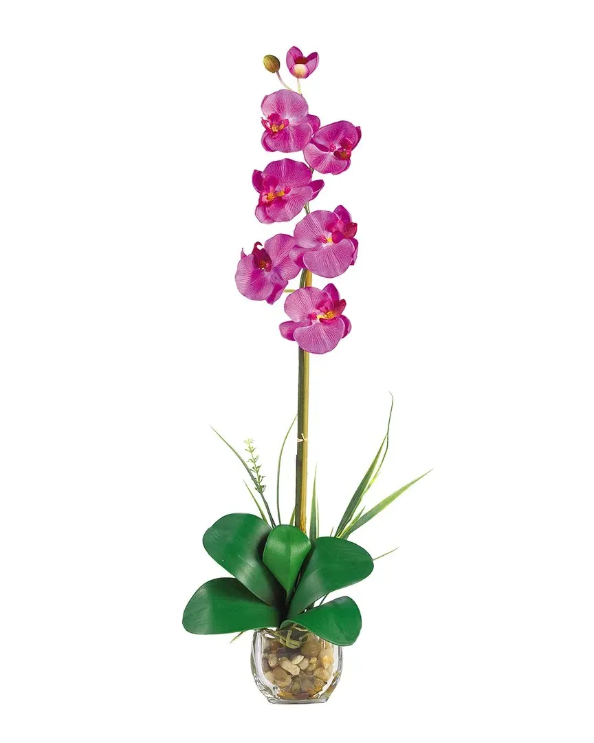 Single Phalaenopsis Liquid Illusion Silk Flower Arrangement image