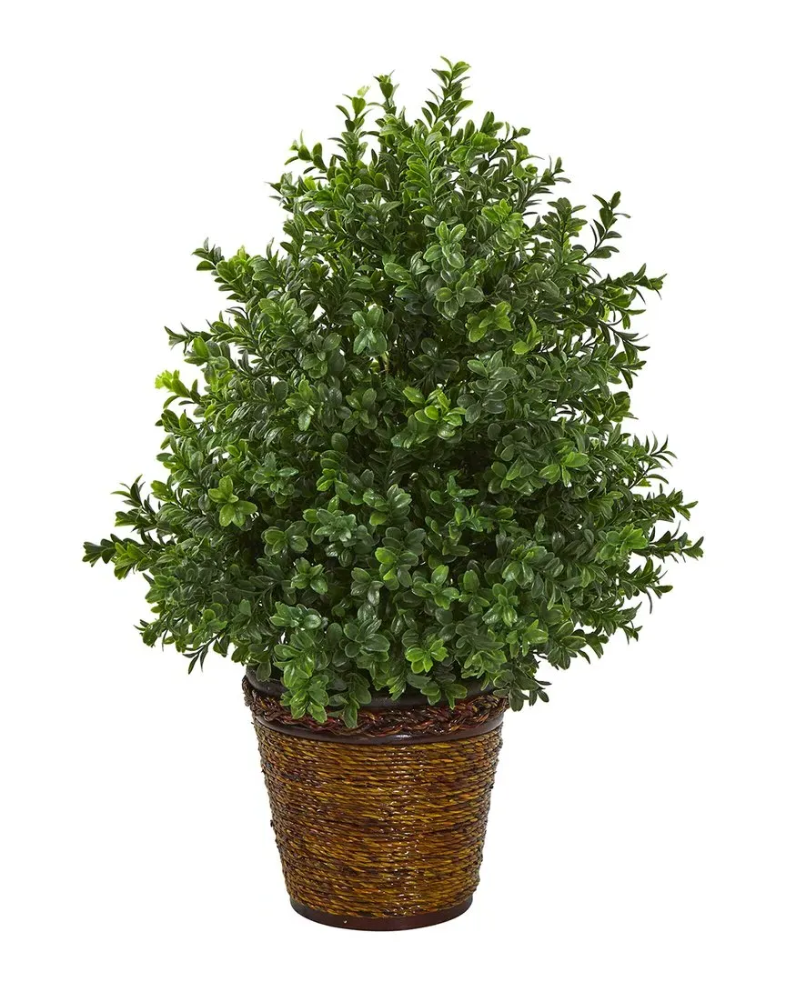 Sweet Grass Artificial Plant in Basket - Green