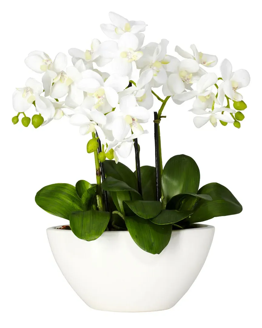 Triple Mini Phalaenopsis Silk Flower Arrangement - White