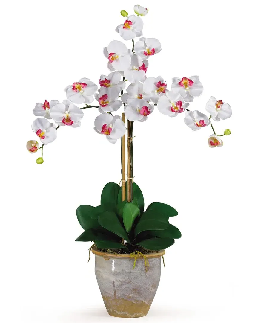 Triple Phalaenopsis Silk Orchid Arrangement - White, Ceramic