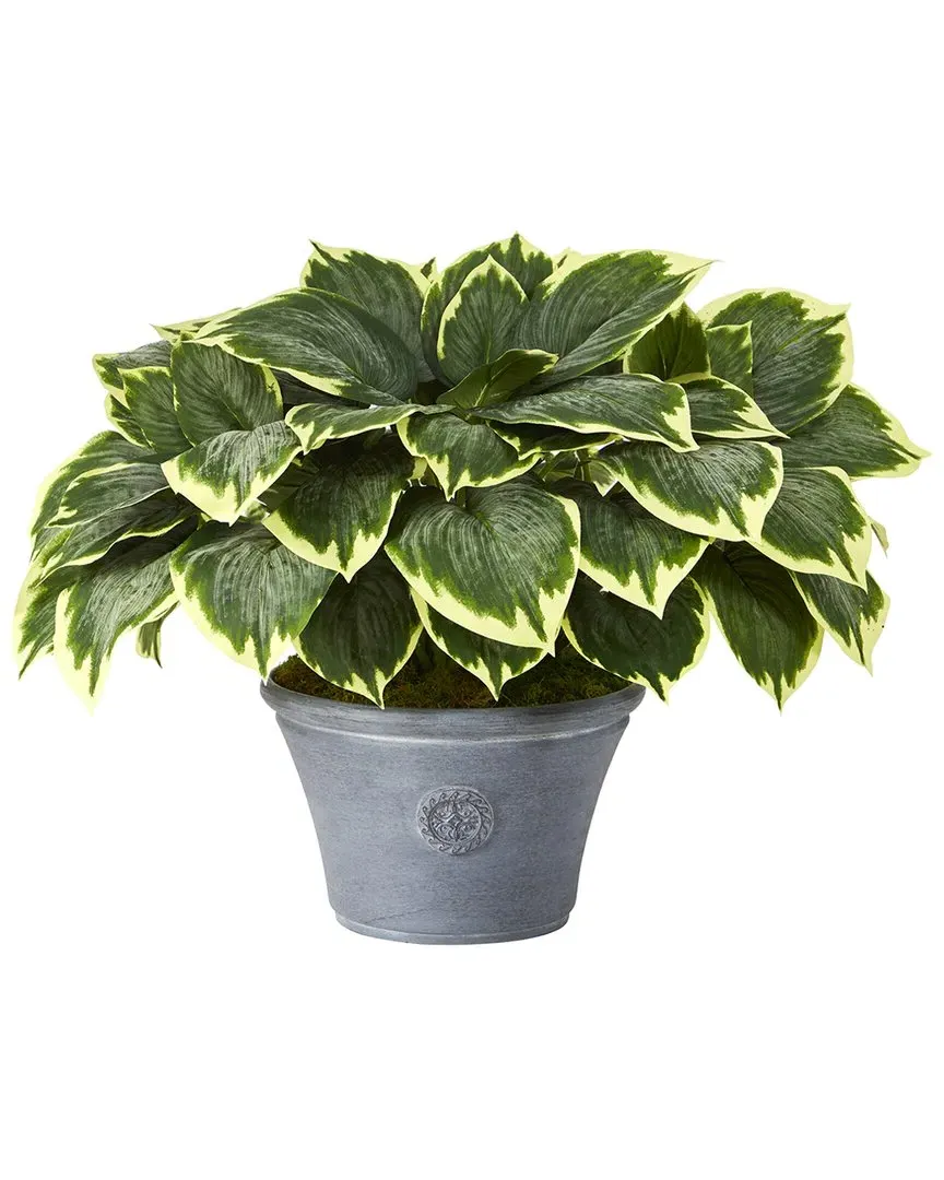 Variegated Hosta Artificial Plant in Gray Planter - Green