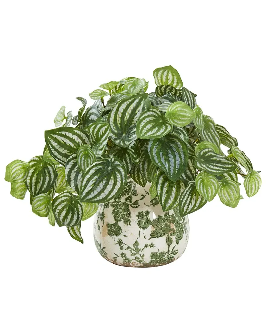Watermelon Peperomia Artificial Plant in Vase - Green image