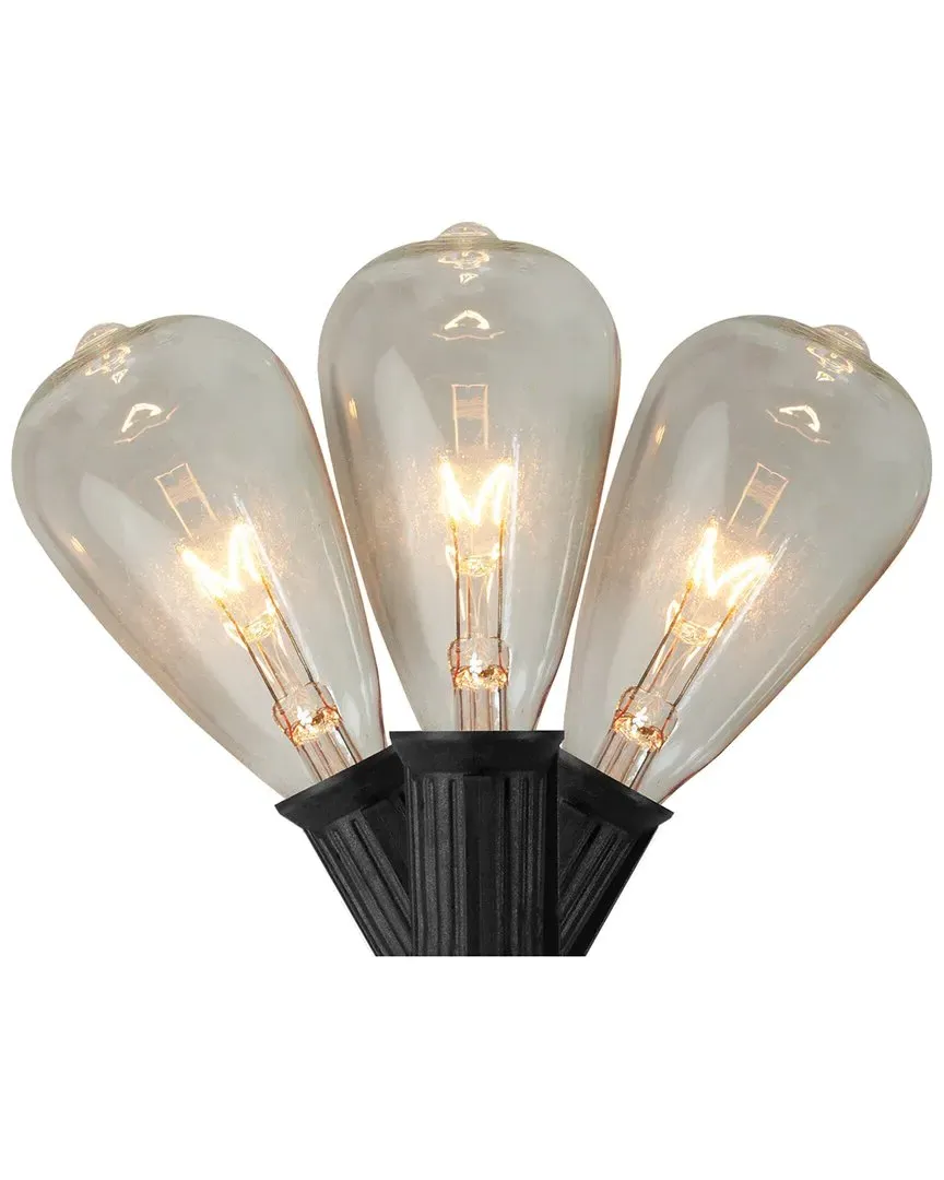 10 Count Edison Glass Patio Lights - Black Wire image