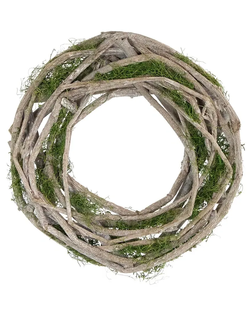12in Birch Twig & Moss Artificial Spring Wreath - White image
