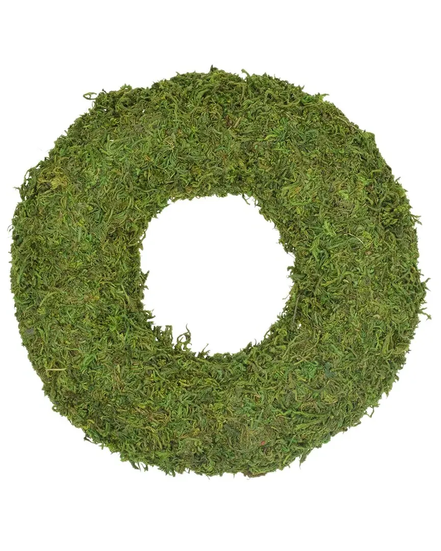 13.7in Reindeer Moss Artificial Floral Wreath - Green image