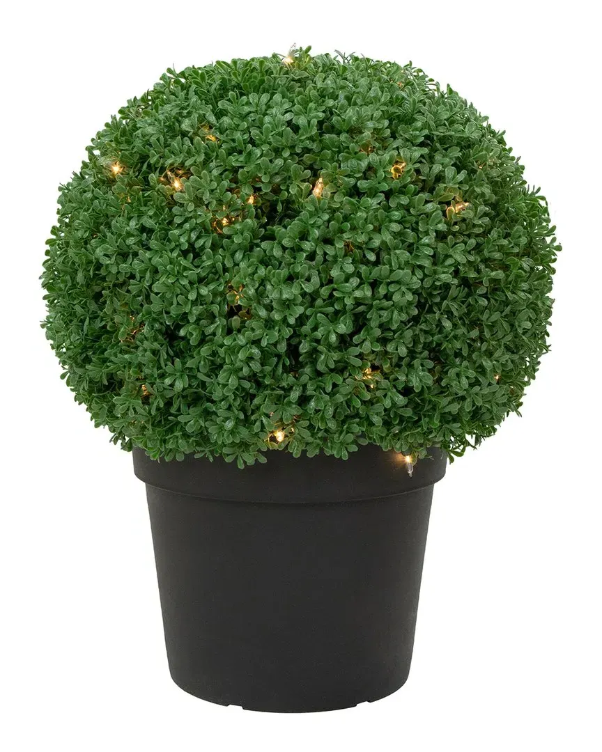 20in Pre-Lit Artificial Boxwood Ball Topiary - Green image