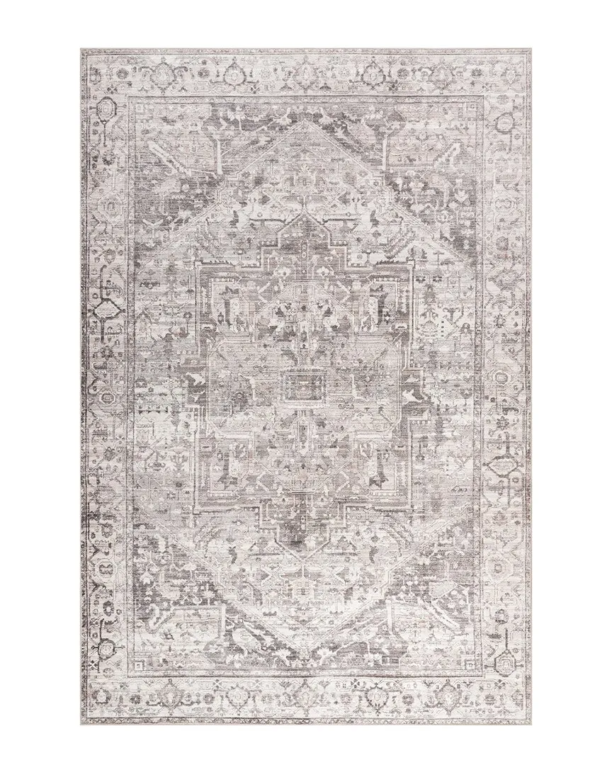 Vita SplashGuard Vintage Medallion Machine Washable Rug - Grey