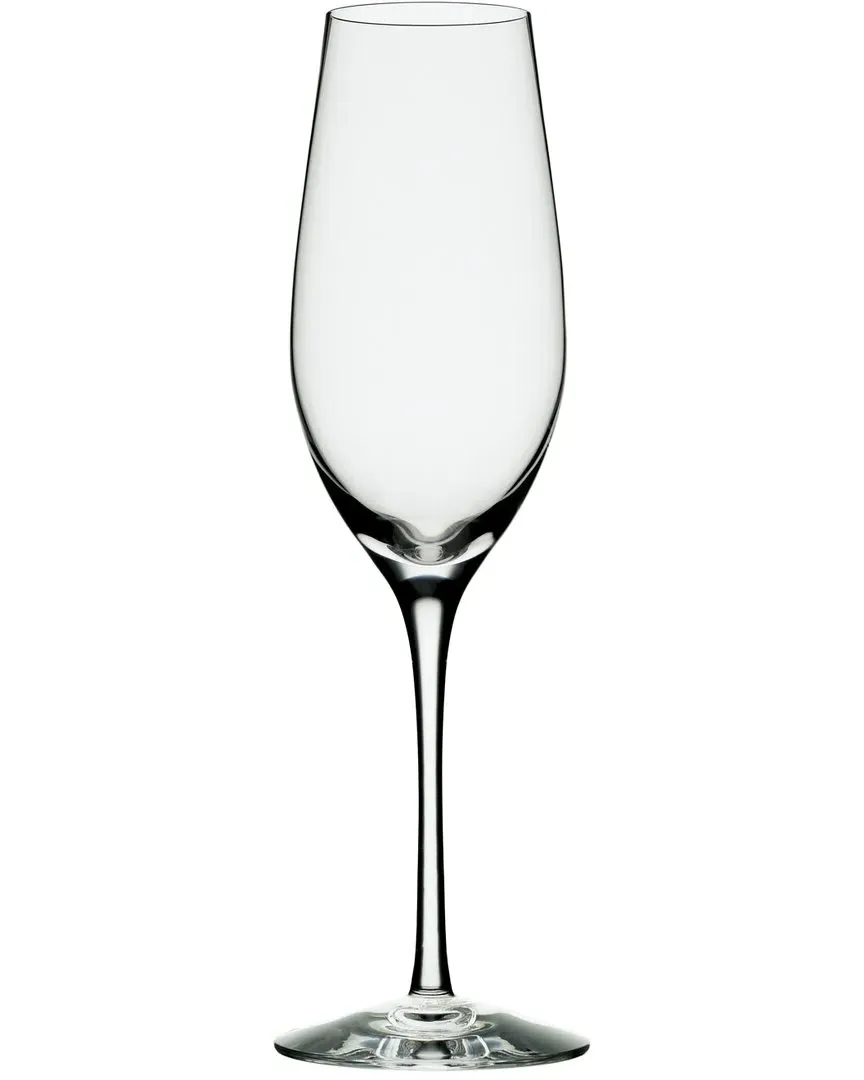 Merlot Champagne Flute - Clear image