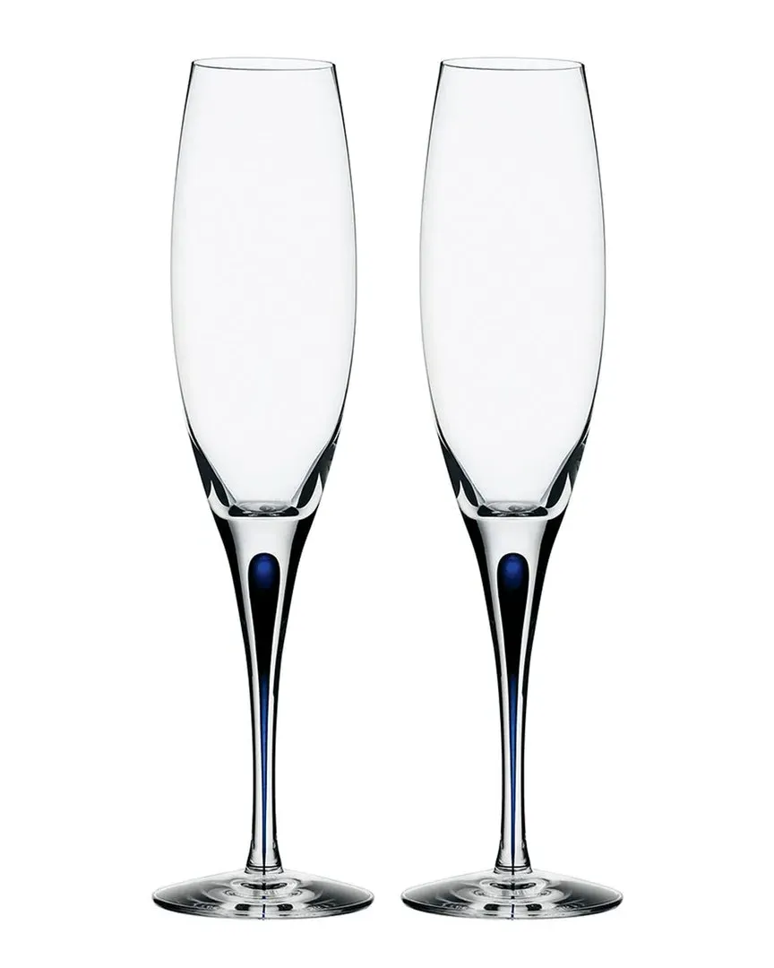 Set of 2 Intermezzo Champagne Flutes - Blue, Glass