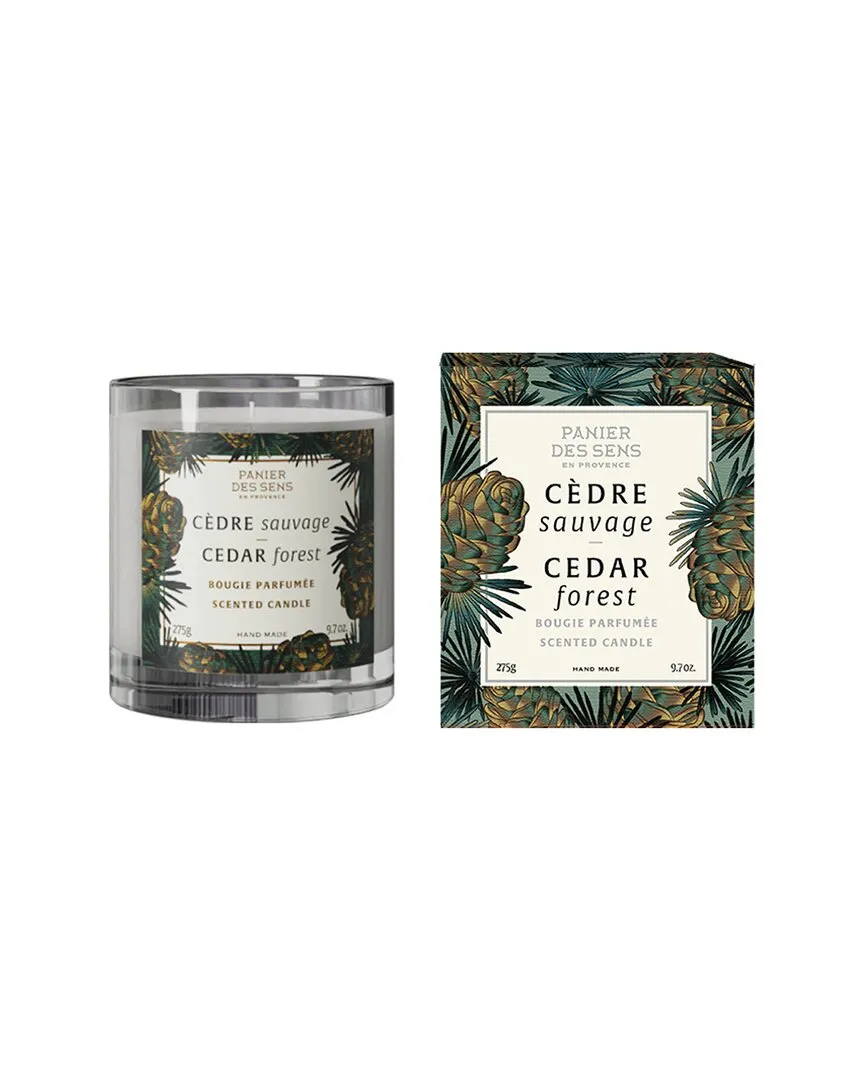 Cedar Forest Scented Candle 9.7oz - Green, Glass image