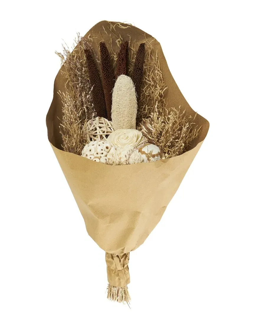 Cattail Dried Plant Wheat Grass Foliage - Brown