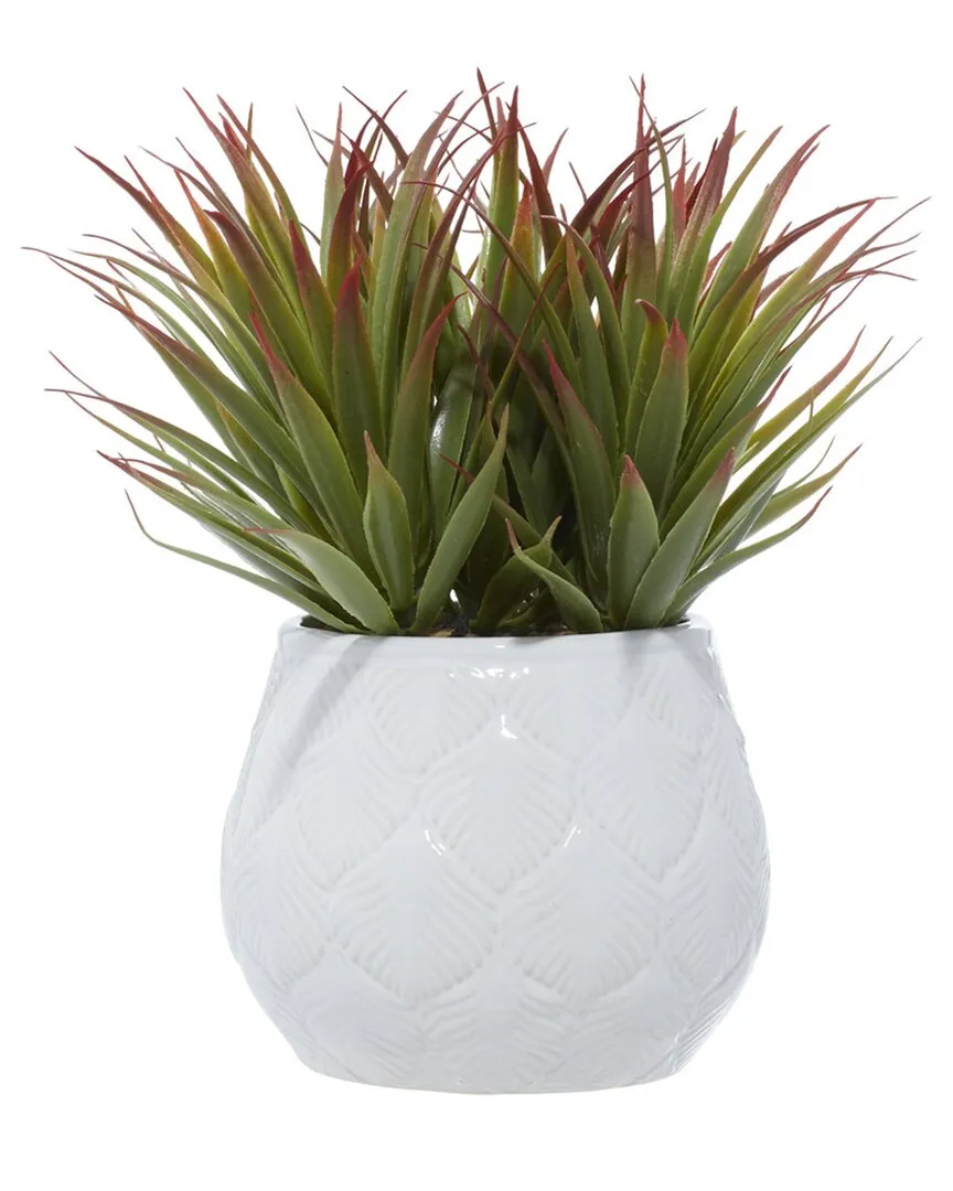 Striped Stemmed Aloe Artificial Plant - Green, Ceramic