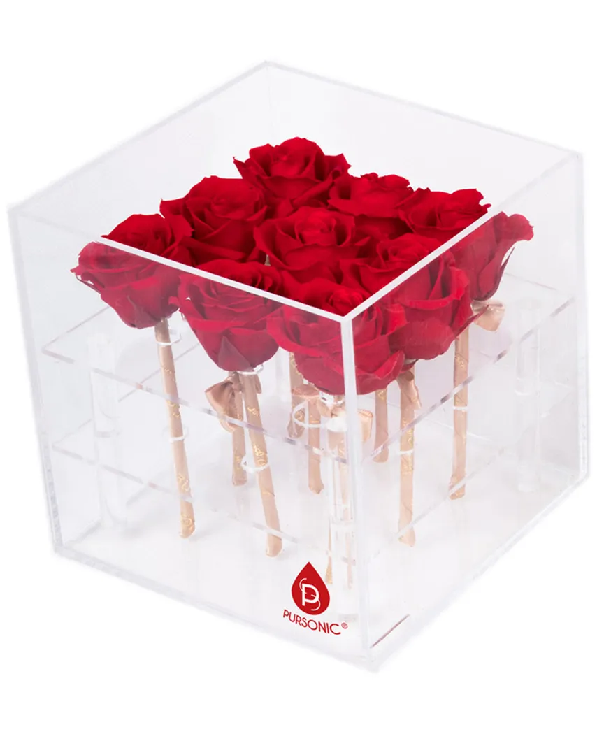 9 Preserved Roses - Red image