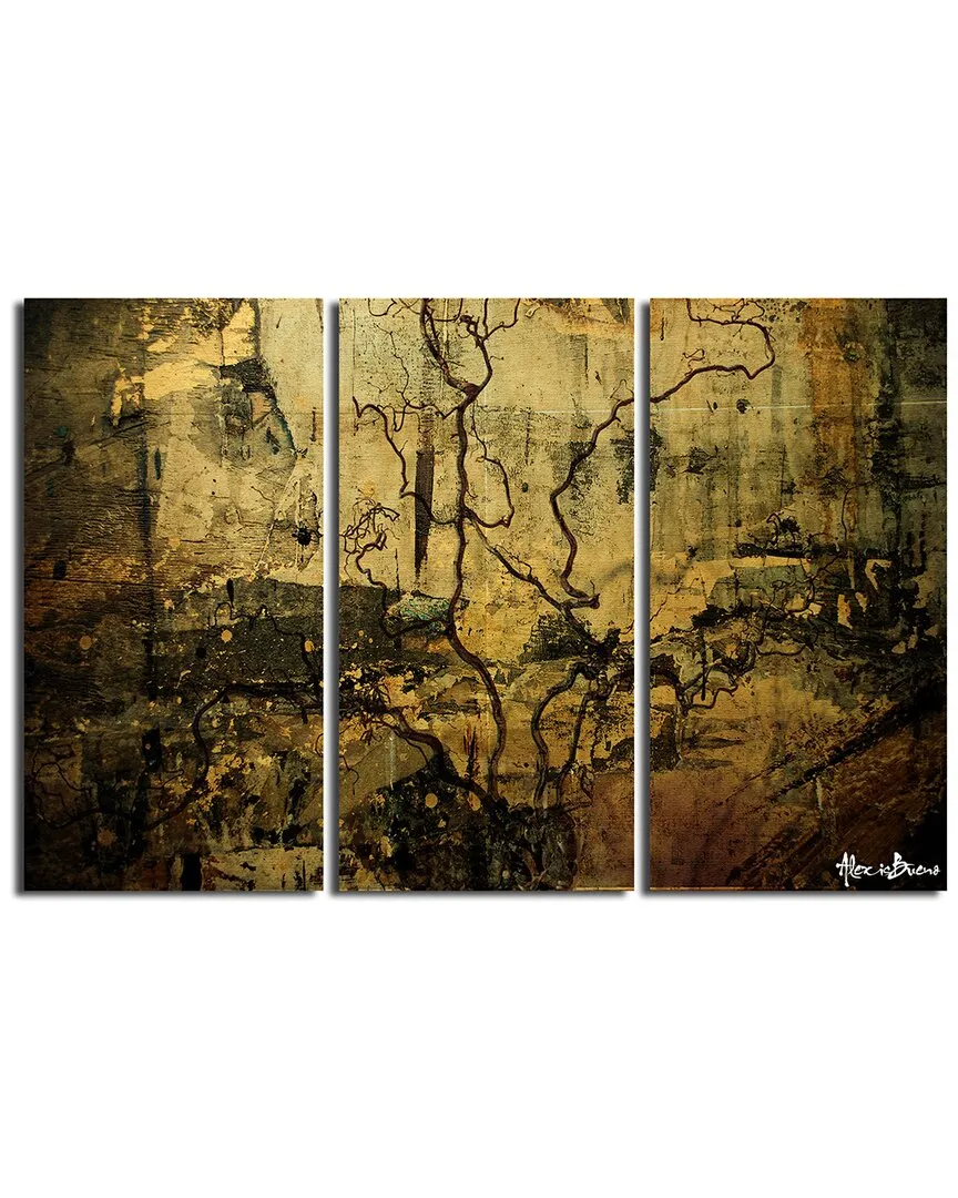 Abstract Flower VI 3pc Wrapped Canvas Wall Art by Tristan Scott image