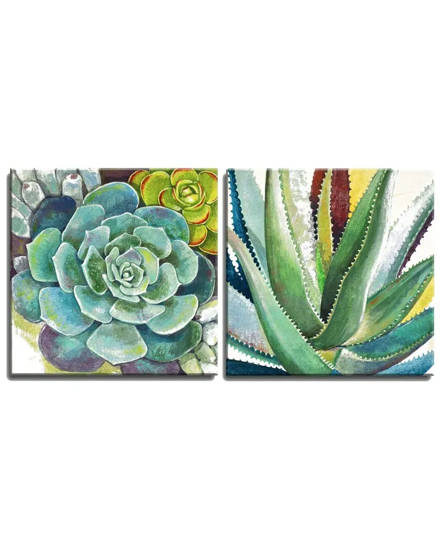 Brilliant Succulents I/II Wrapped Canvas Wall Art by Norman Wyatt image