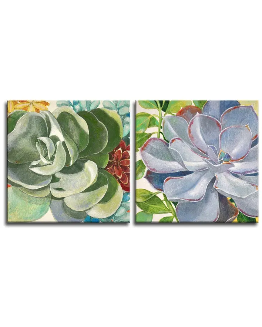 Brilliant Succulents III/IV Wrapped Canvas Wall Art Set