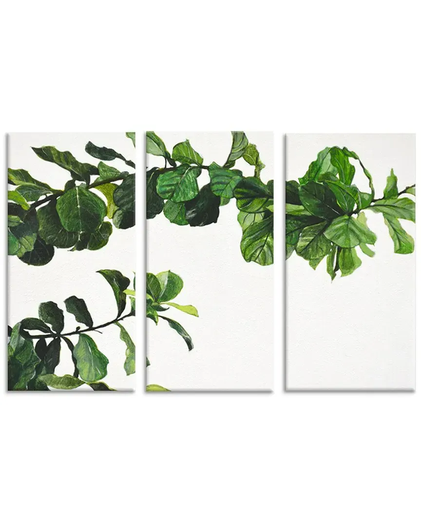 Chlorophyll Wrapped Canvas Wall Art Set