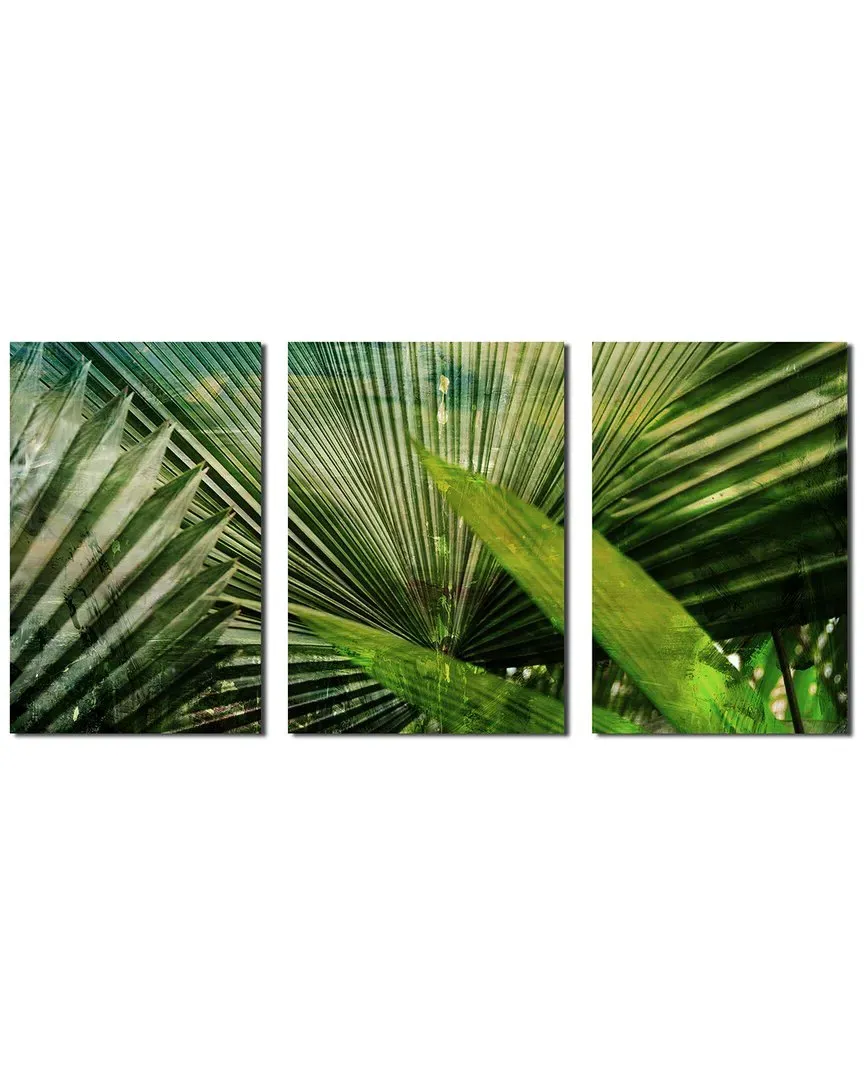 Green Palm 3pc Canvas Wall Art by Tristan Scott image