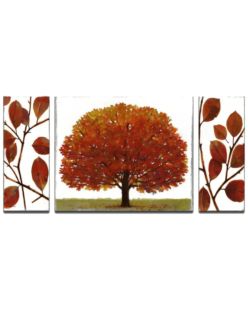 November Splendor 3pc Canvas Wall Art by Norman Wyatt