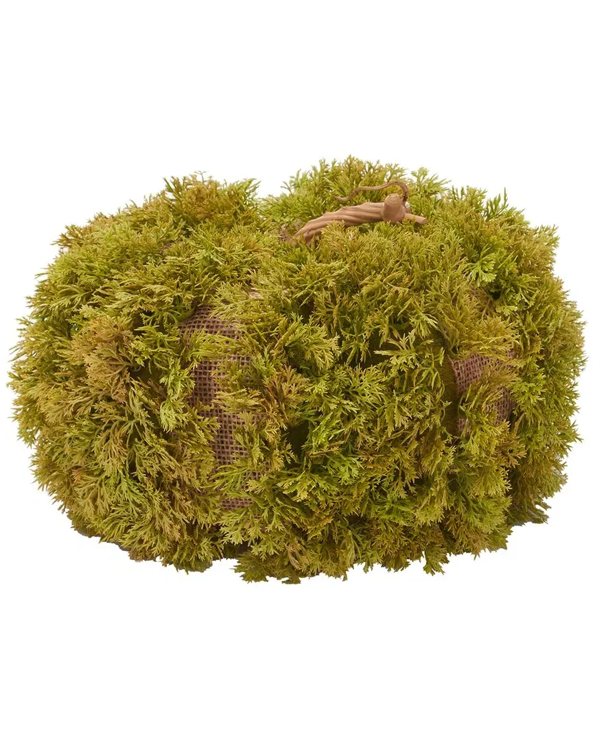 Faux 10" Moss Pumpkin - Green image