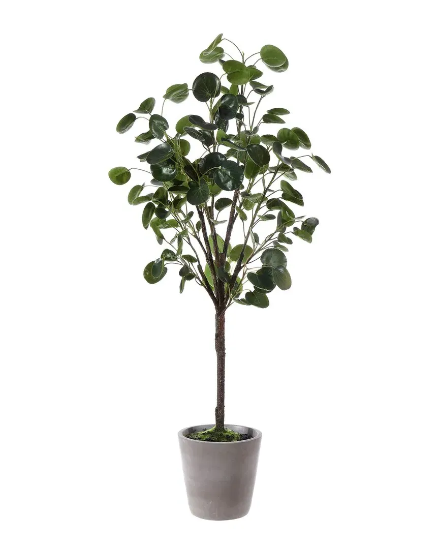Faux Polyscias Fruticosa Potted Tree - Grey