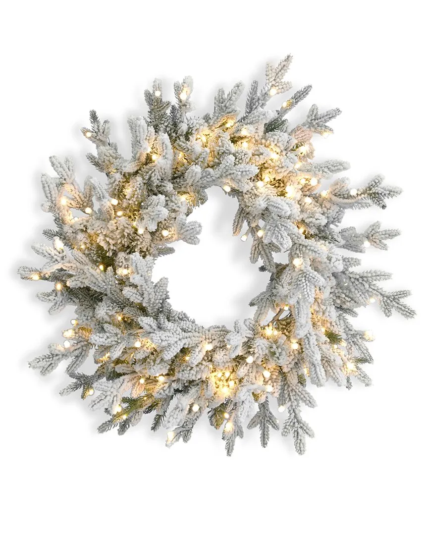 Dandan Flocked Pine 24" Pre-Lit Wreath - Mixed PVC