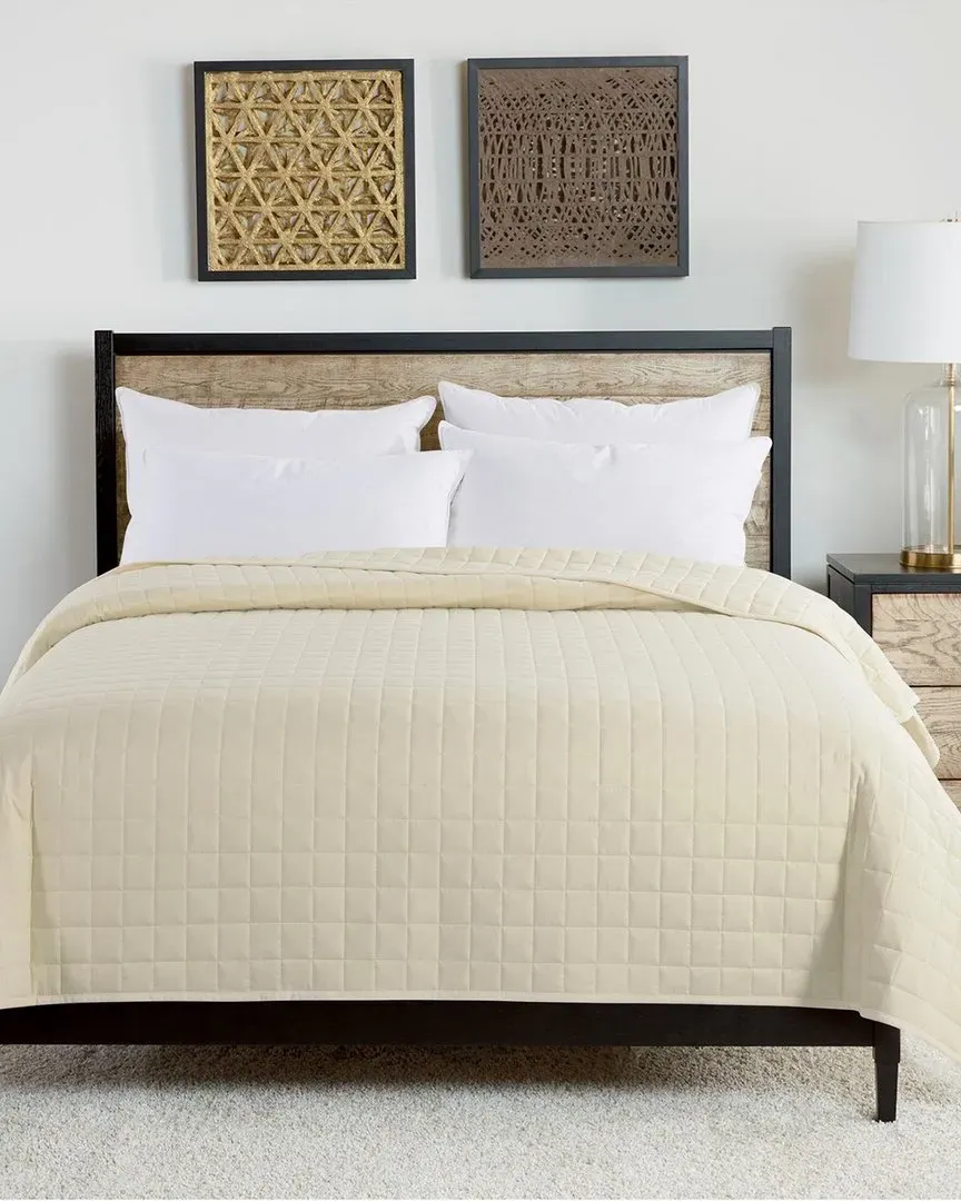 Velvet Trim Down Alternative Blanket - Cream, Microfiber