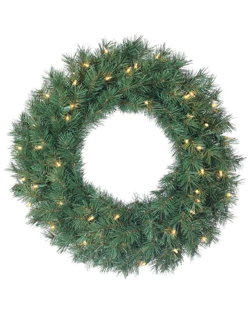 24-Inch Pre-Lit Aspen Spruce Wreath with 50 Clear Lights - Green image
