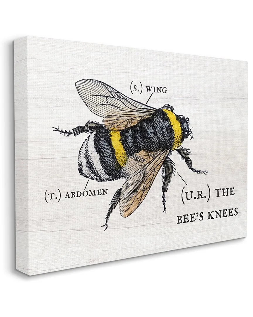 Anatomy of Honey Bee Canvas Wall Art by Daphne Polselli - Off-White image