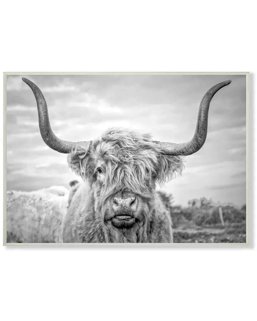 Black and White Highland Cow Lithograph by Joe Reynolds image