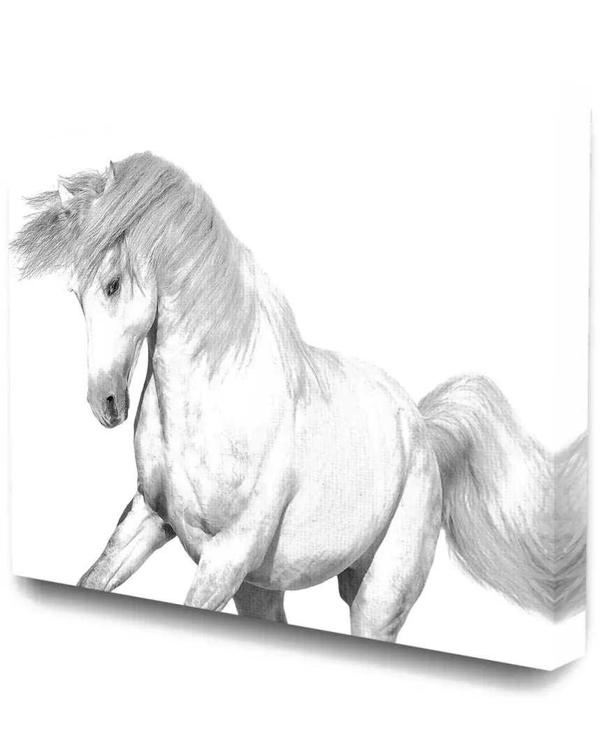 Black and White Horse Bucking Canvas Art Print