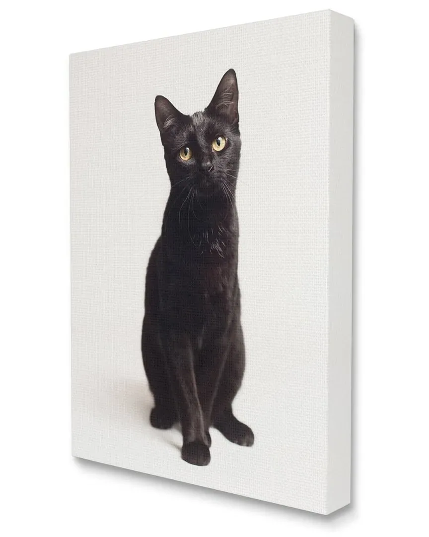 Cute Black Cat Canvas Wall Art by Marika Moffit - White image