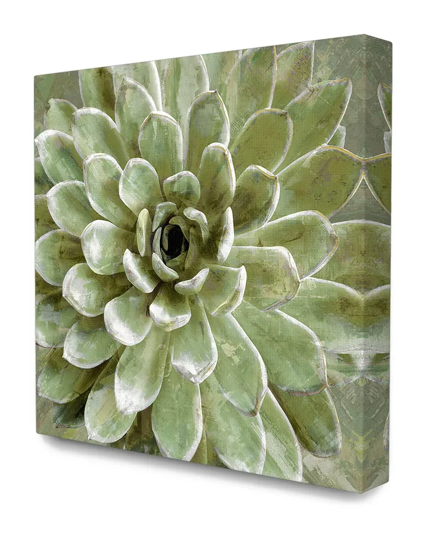 Green Painted Botanical Succulent Bloom Canvas Art Print