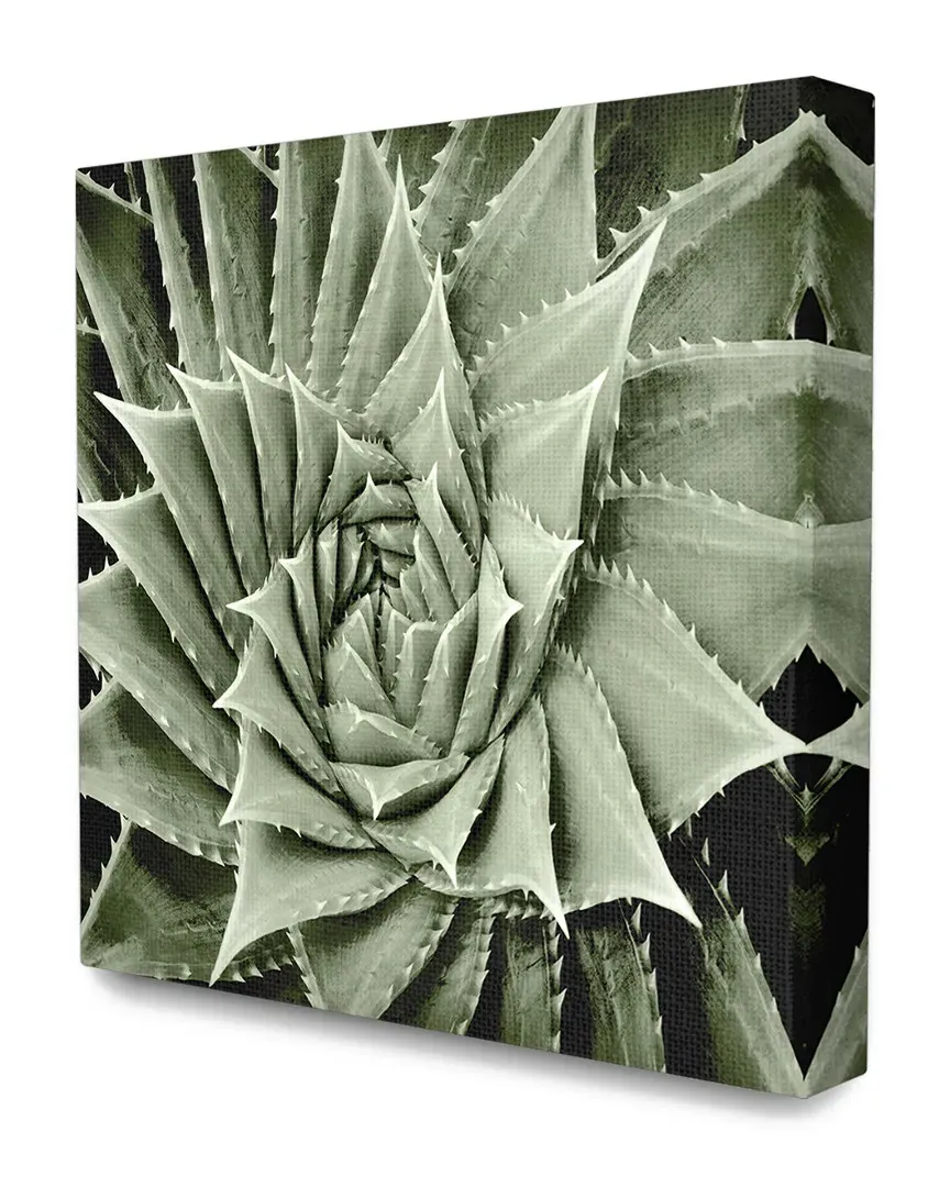 Green Spiked Swirling Succulent Bloom Canvas Art Print
