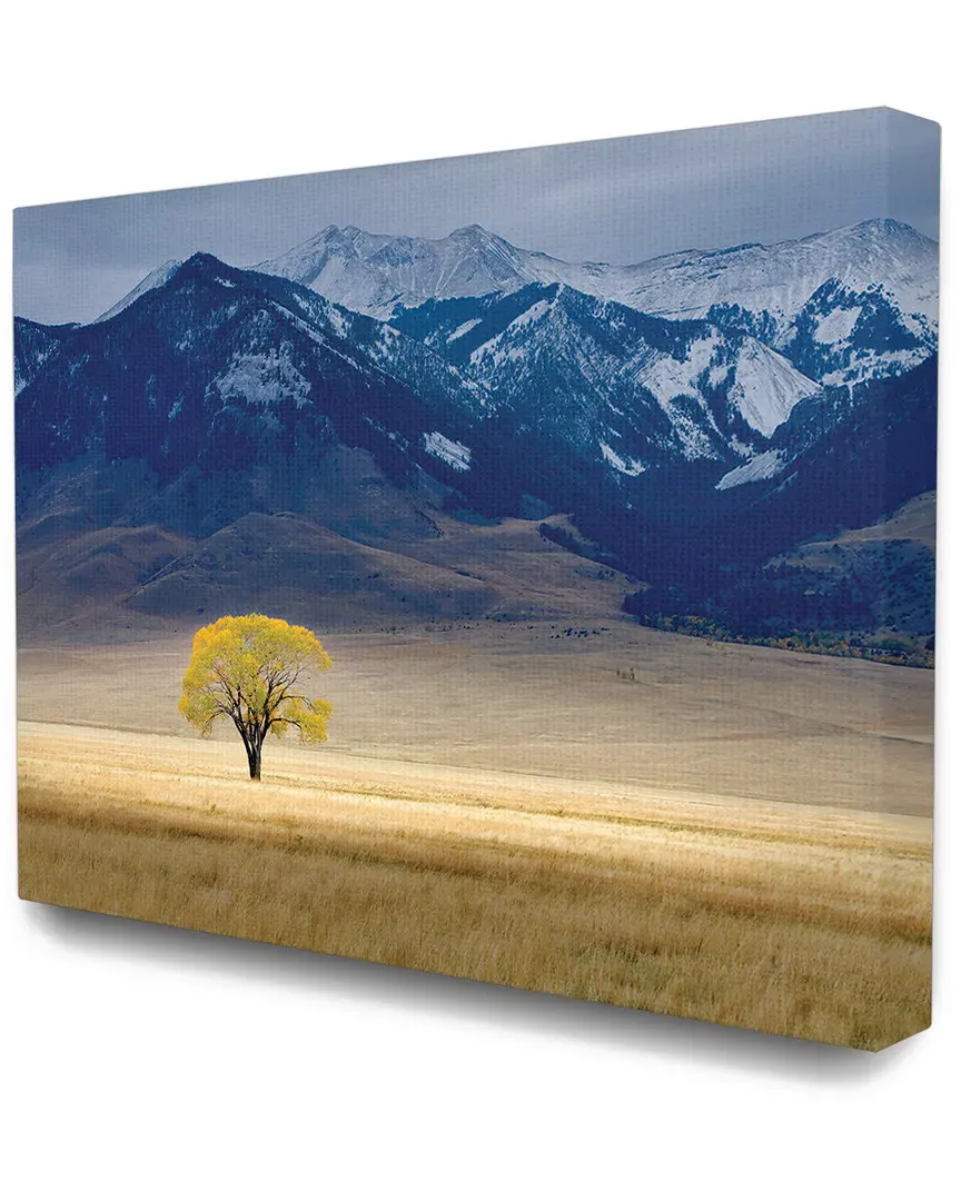 Home Decor Open Range Landscape Canvas Art Print