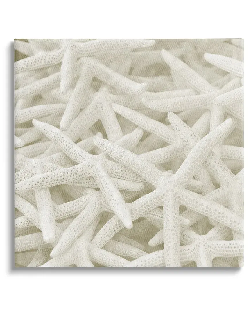 Lil' Rue Nautical Starfish Canvas Wall Art - White