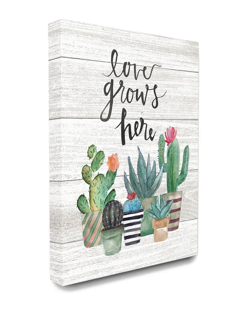 Love Grows Here Cactus Succulents Canvas Art Print image