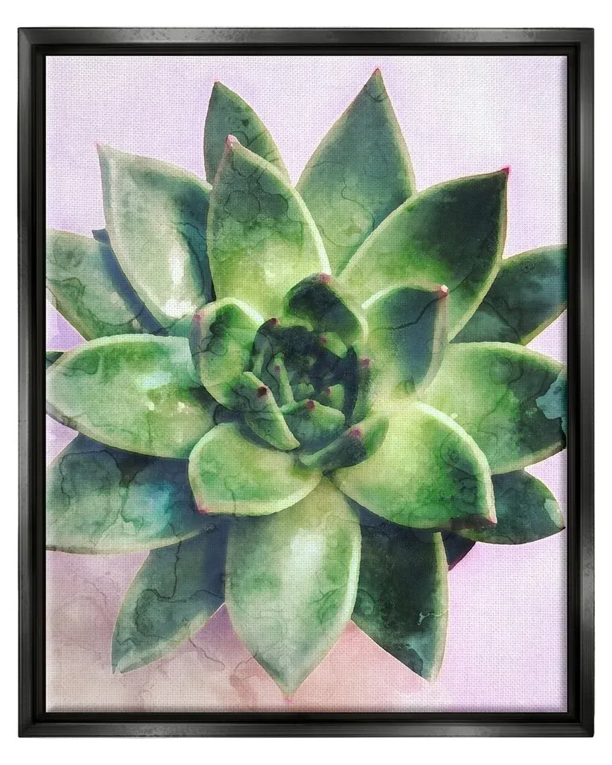 Round Succulent Plant Leaves Framed Floater Canvas Wall Art - Black