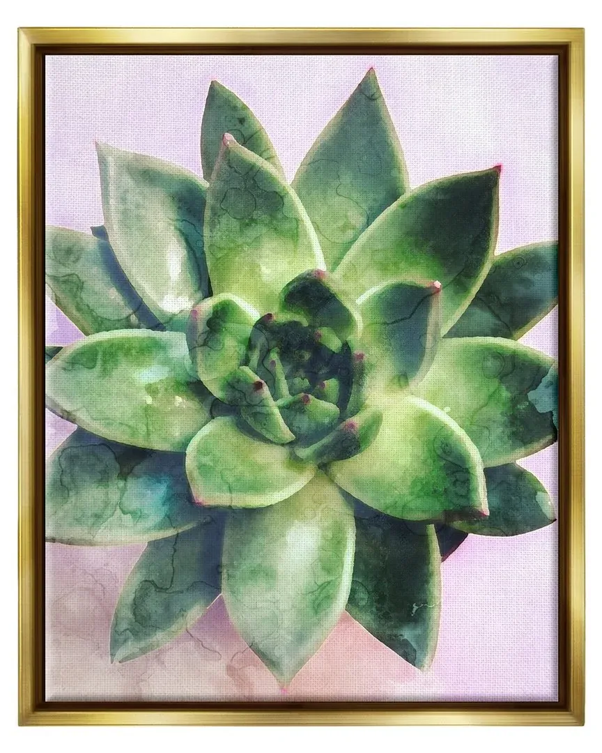 Round Succulent Plant Leaves Framed Floater Canvas Wall Art - Gold