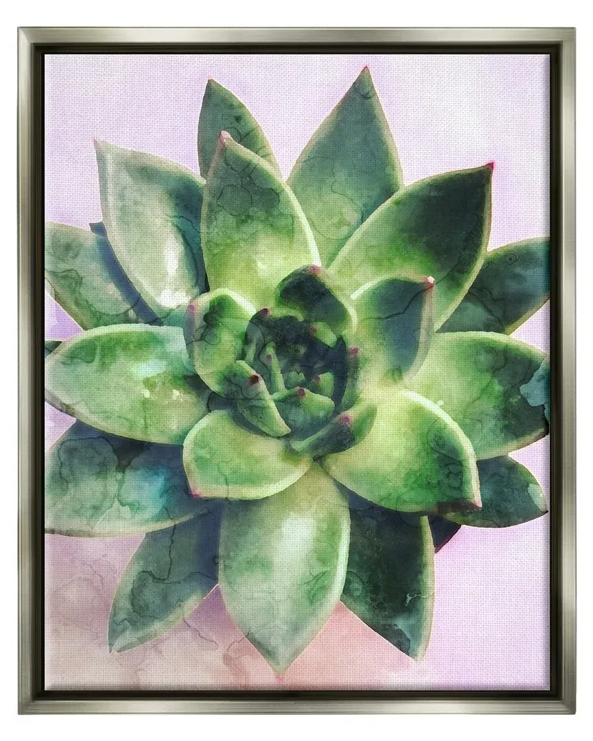 Round Succulent Plant Leaves Framed Floater Canvas Wall Art - Gray