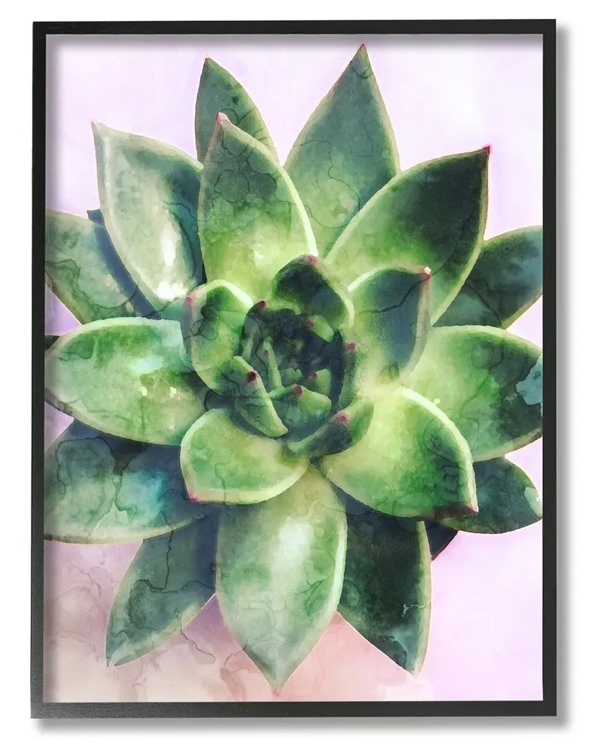 Round Succulent Plant Leaves Framed Giclee Wall Art - Black