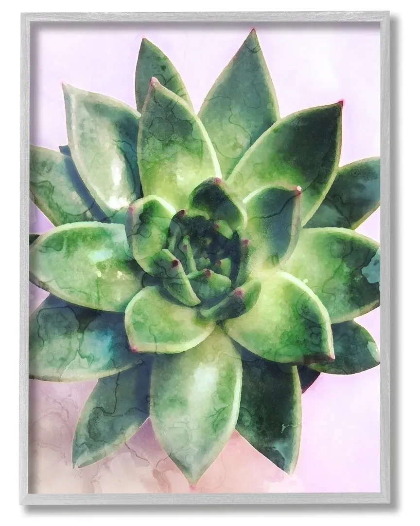 Round Succulent Plant Leaves Framed Giclee Wall Art - Gray