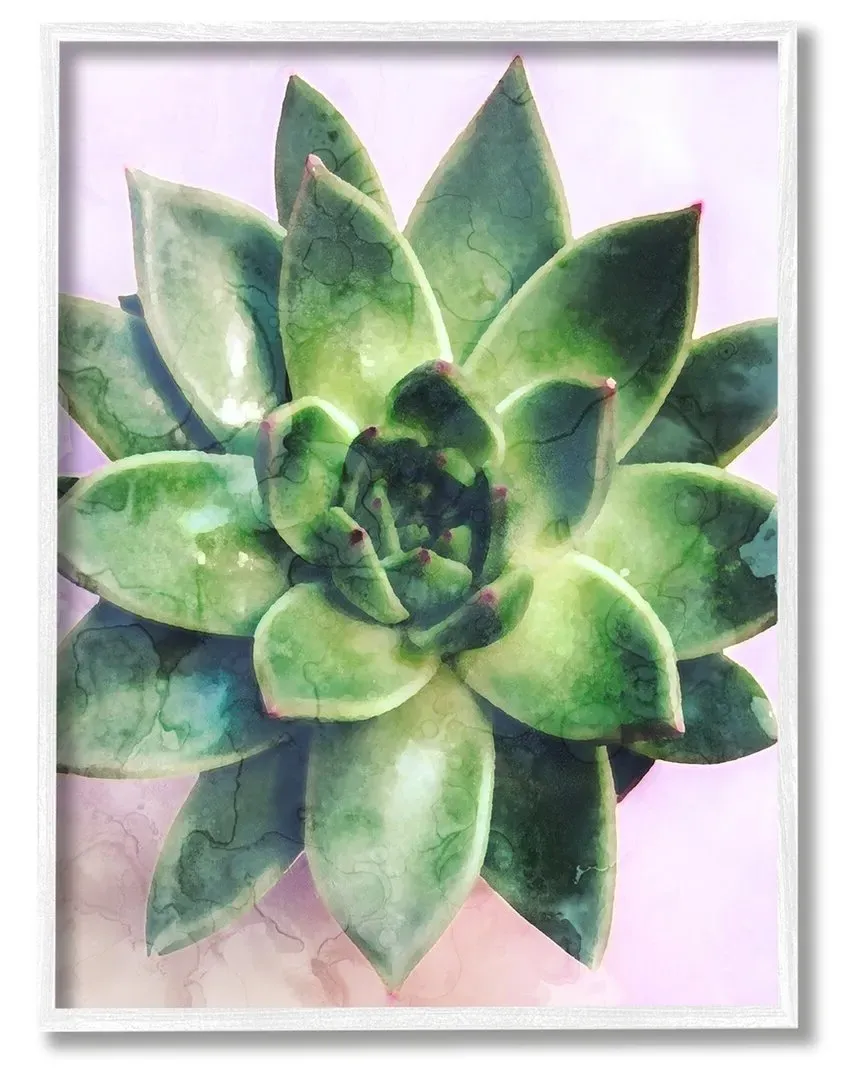 Round Succulent Plant Leaves Framed Giclee Wall Art - White